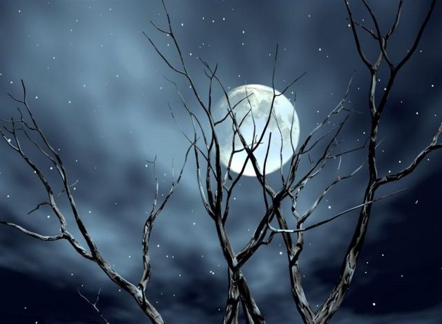 Bài thơ Ánh trăng (Nguyễn Duy) - Vầng trăng gợi ký ức tuổi thơ