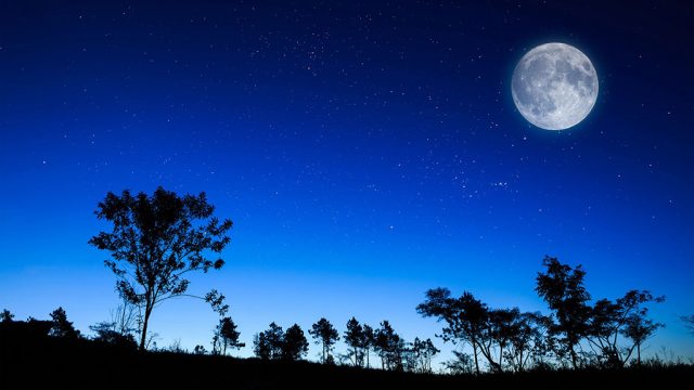 Chùm thơ về trăng khuya buồn cô đơn, xót xa và tâm trạng nhất