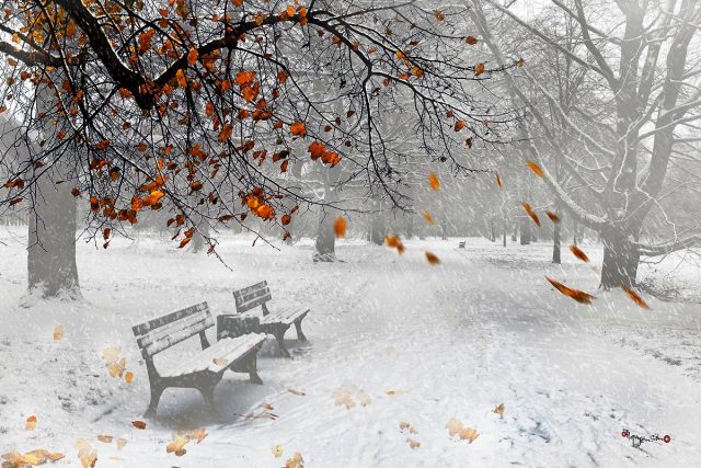 1001 bài thơ hay về mùa đông lay động hàng triệu trái tim
