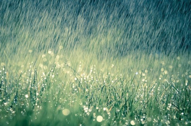 Bài thơ Đừng trách trời mưa