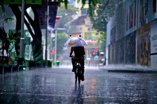 Bài thơ Người Sài Gòn trong mưa