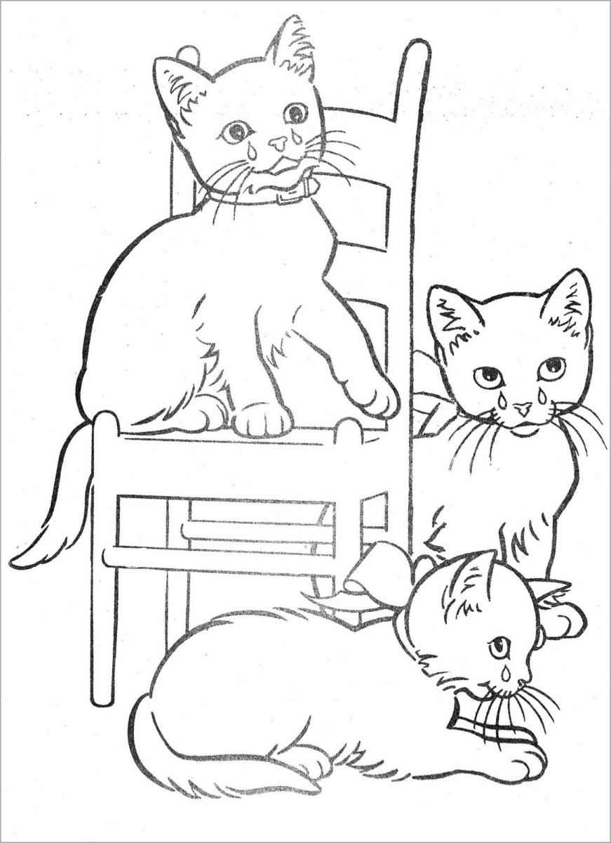 Tổng hợp những mẫu tranh tô màu con mèo đẹp siêu cool cho bé